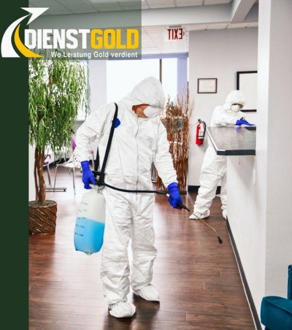 Grundreinigung Grundreinigung