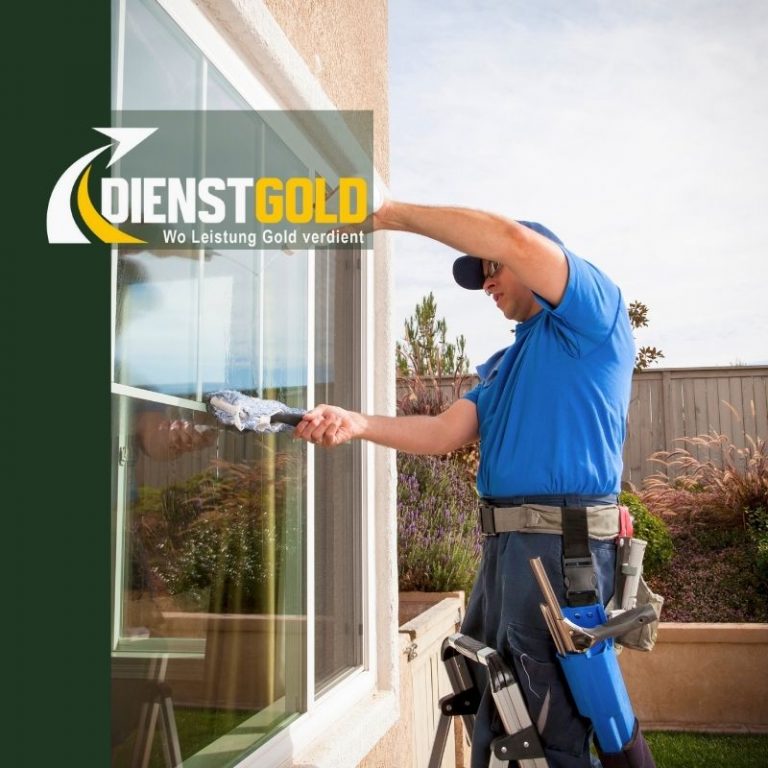 Fenster Reinigung
