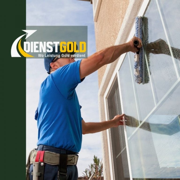 Fenster Reinigung