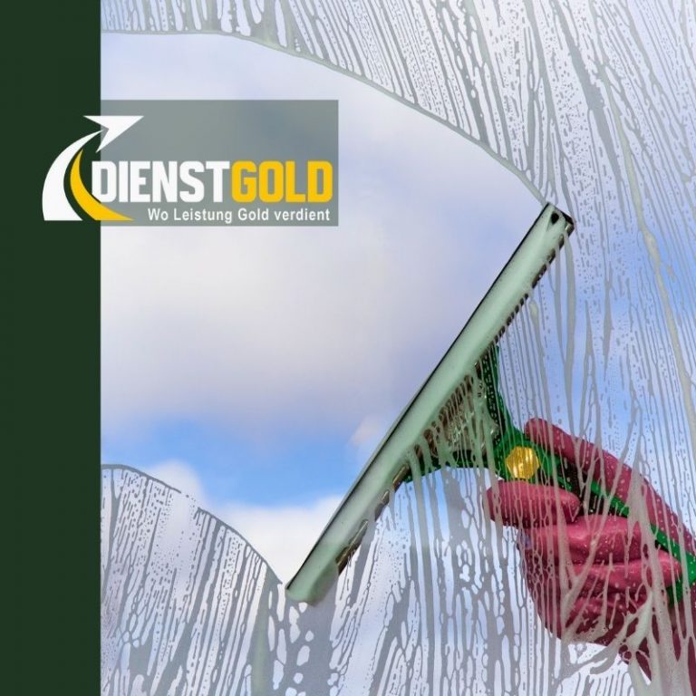 Fenster Reinigung