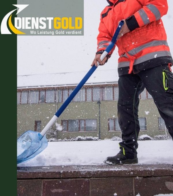 Winterdienst Winterdienst